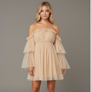 Off Shoulder Ruffle Mesh Dress